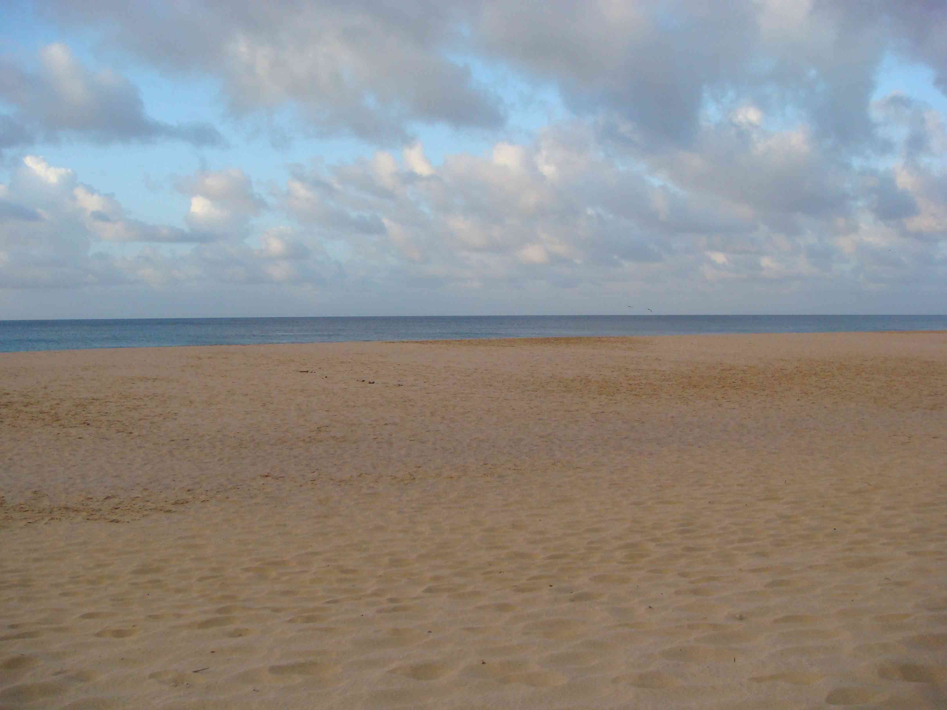 Fernando DE Noronha Por Vivi Rocha