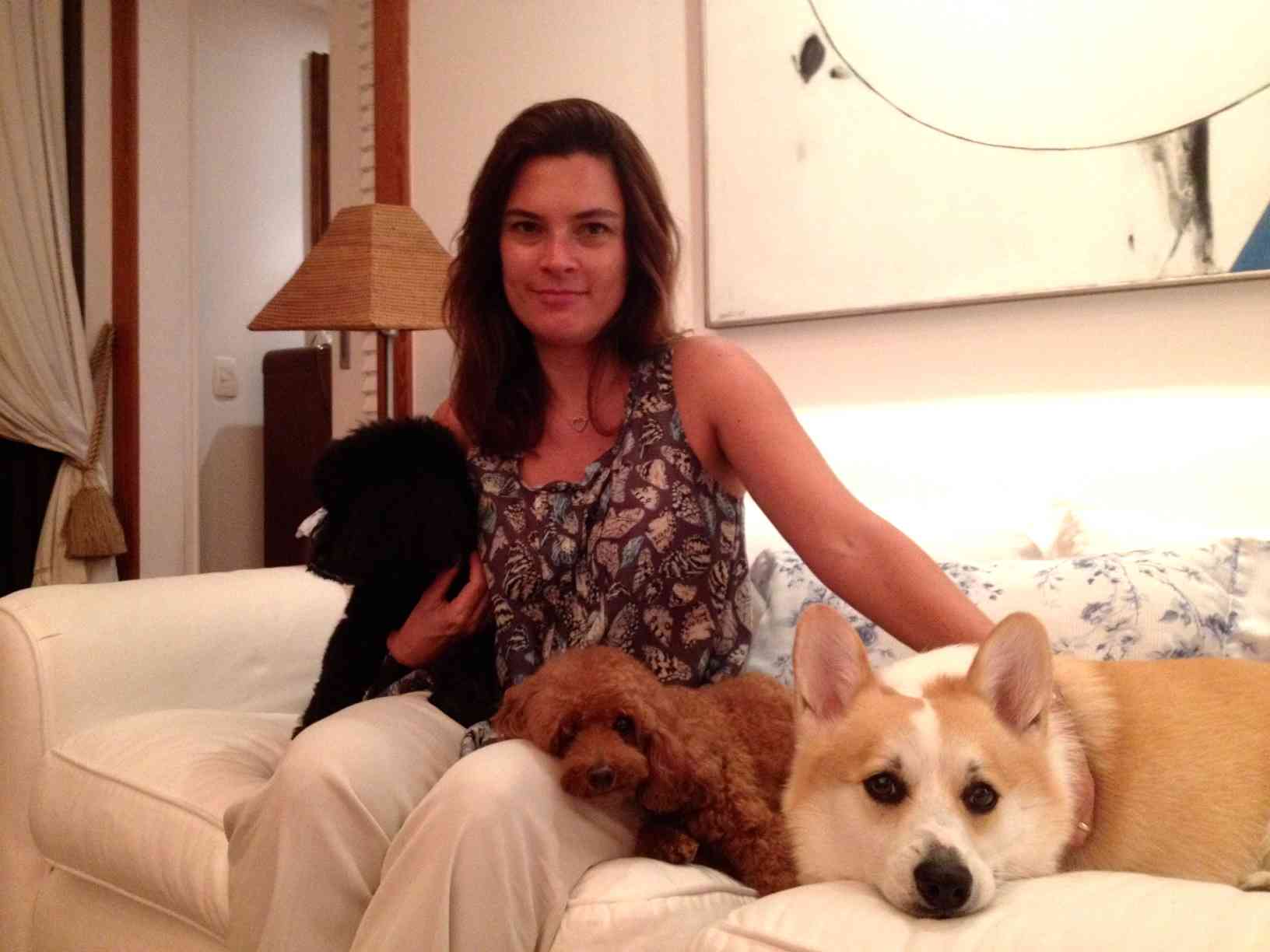 Bitcão: O Site Que Tem TUDO Para Os Cachorros!