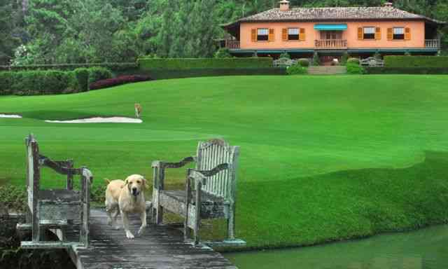 VALE VER DE Novo: UM Jardim Espetacular!