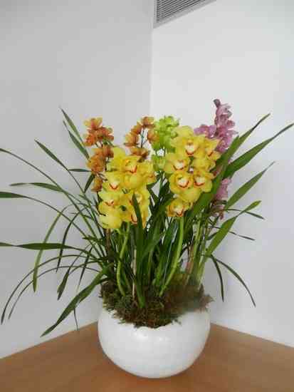 2013 06 Flores Anamaria 013