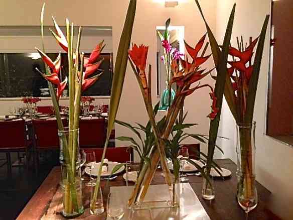 Vejam a beleza impactante das flores, exepcionalmente altas para o padrão da casa.