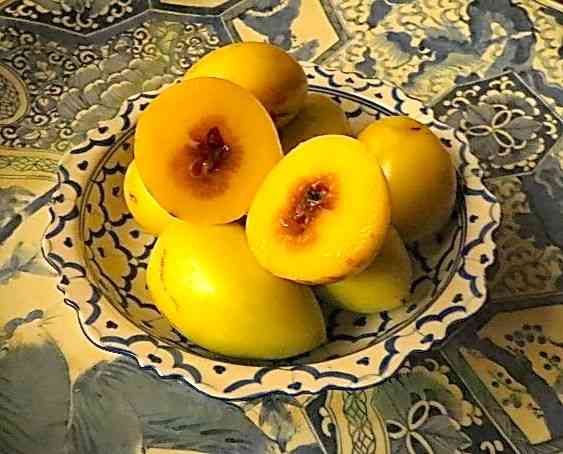 Fruta NOVA NO Pedaço!