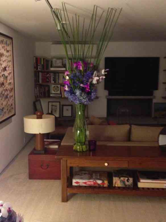 Imagem 7