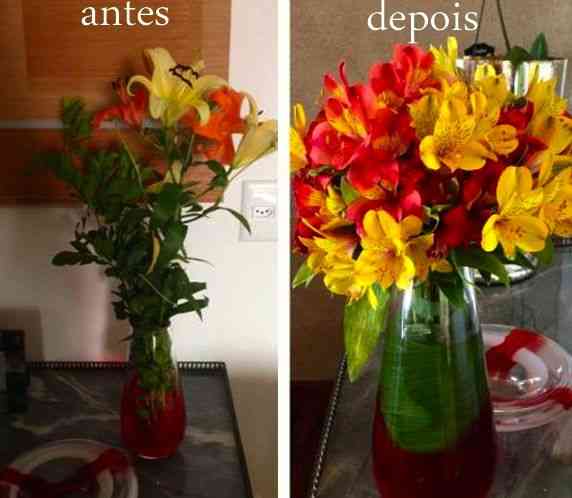 antes_depois02