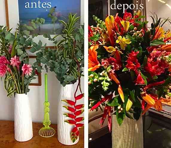 antes_depois03-1