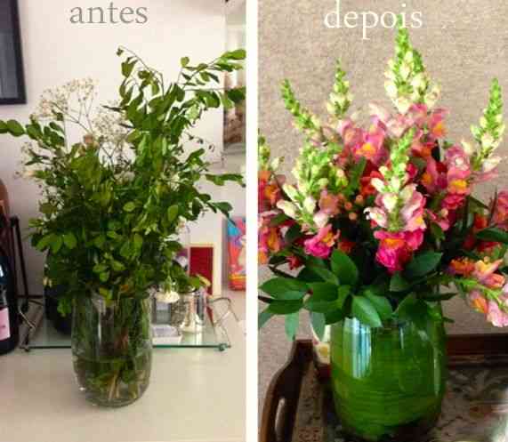 antes_depois04