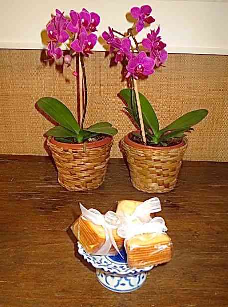 MINI BOLO DE ROLO QUE É UM Encanto E Delicioso!