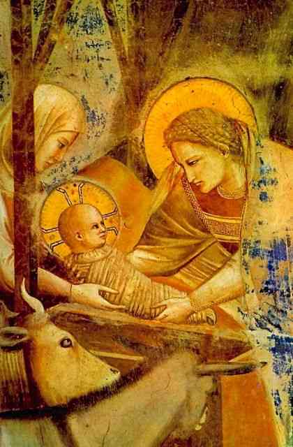 Preciosa como o dia de hoje: "Natividade", por Giotto, que comemora lindamente a chegada do Menino- Deus!