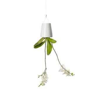 Achei fofa este lustre botânico.
