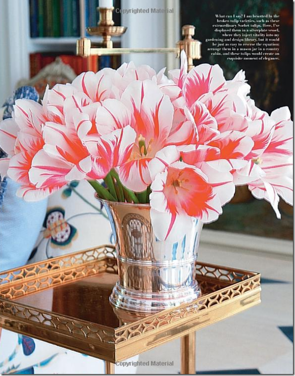 image_thumb53[1]