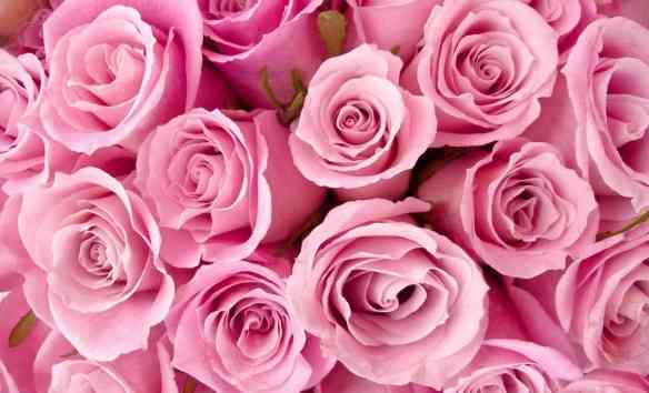 philo-fond-2014-rose-rose2