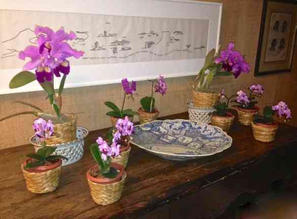 Usei, para florir o jantar, um conjunto de mini orquídeas que achei na nossa beloved Cadeg!