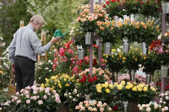 chelseaflowershow-8