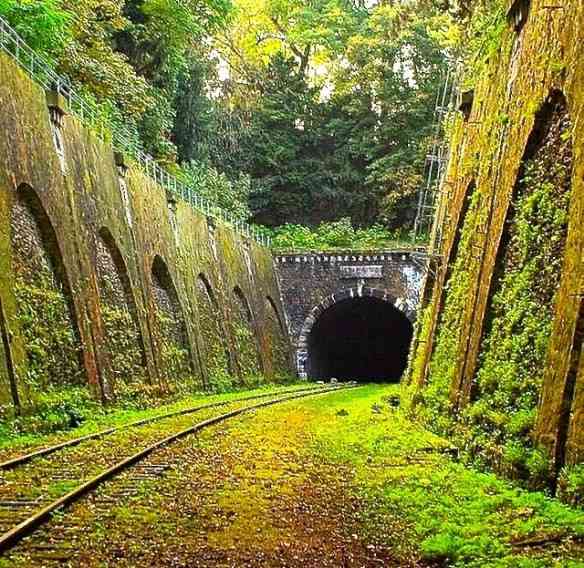 Este é a "Chemin de fer de petite ceinture", ferrovia parisiense também abandonada...