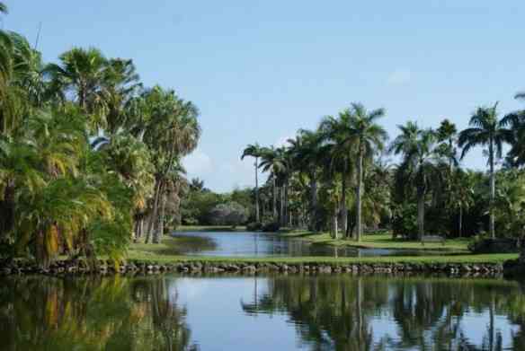 Eis o deslumbrante "Fairchild Botanic Garden"!