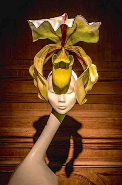 Amei este chapéu orquídea...