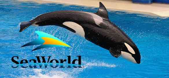 sea-world