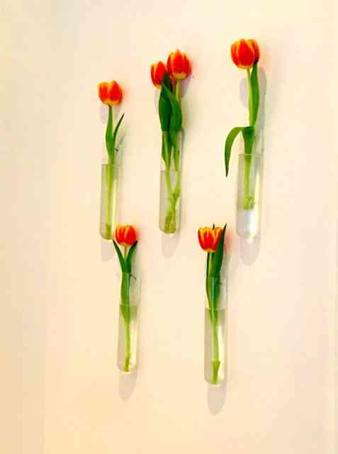 Deixo vocês com as singelas flores que enfeitam as paredes do 