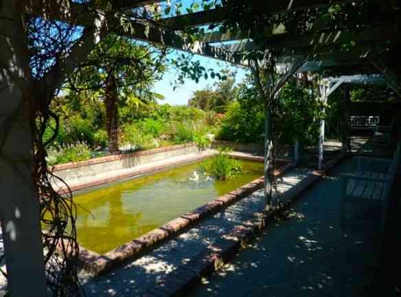 A charmosa pérgola...