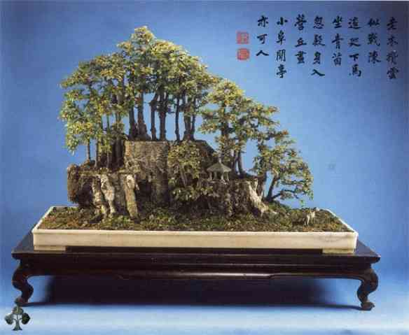 penjing-manlung