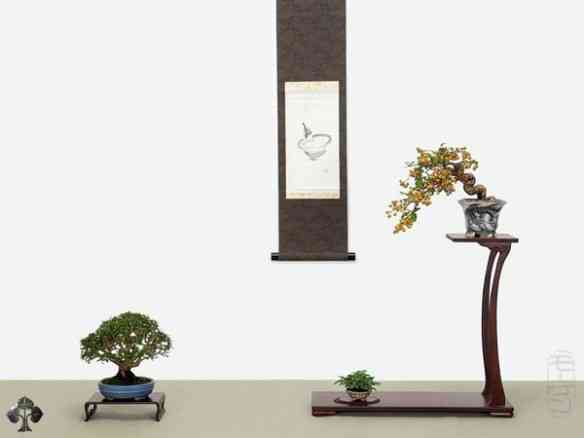 shohin-display-morten