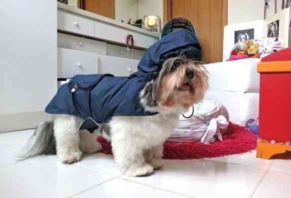 Mel fashion week: preparando-se para sair neste verão chuvoso!