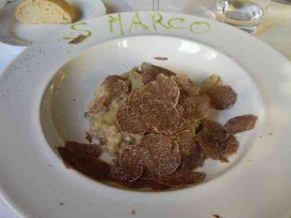 Sua majestade a trufa branca em ação...
