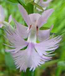 Unknown-1