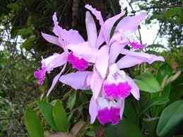 images-4