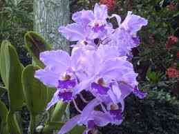 images-5