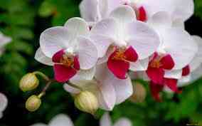 images-6