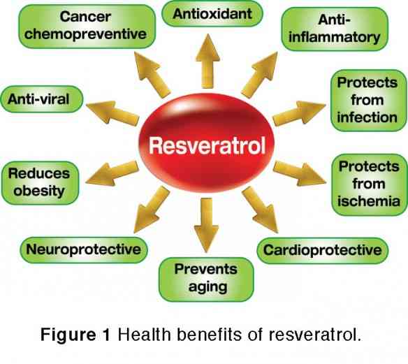 LEM1501Resveratrol_700