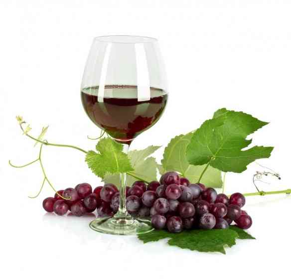 Resveratrol