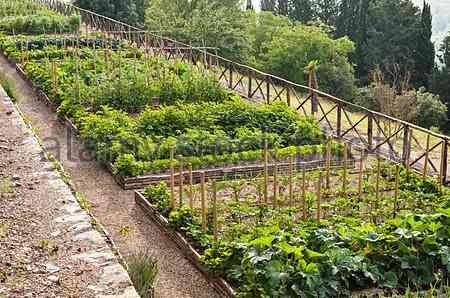 A horta org6anica que abastece o "complexo del Bosco"...