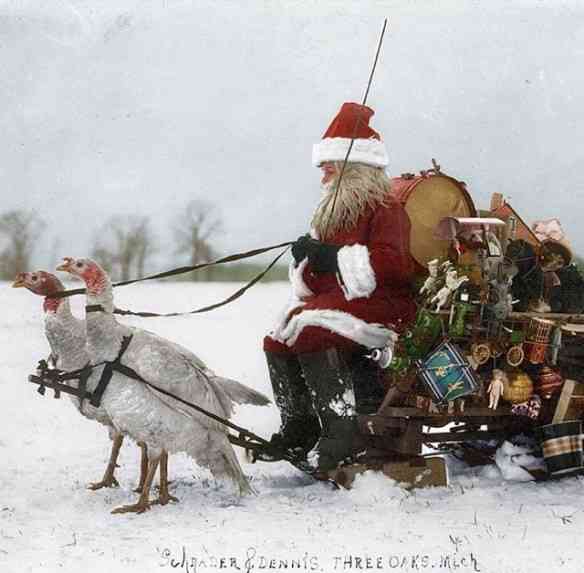 Adoro Papai Noel "vintage", puxado por... Gansos!
