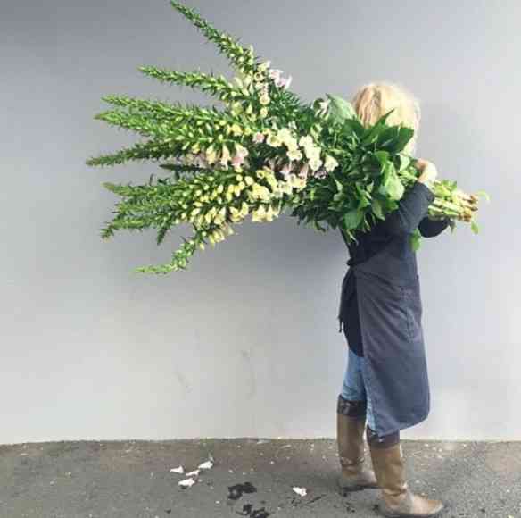... Hi estas flores não acham o seu endereço, você mudou?!