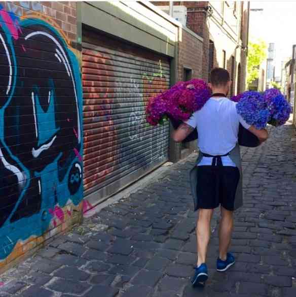 Mas nossas flores estão indo também por terra...