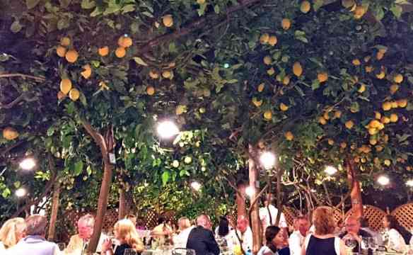 story-20150707152349-Capri_resized_773x476