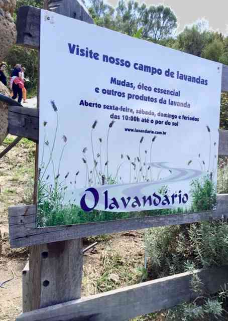 Bem Vindos ao "Lavandário de Cunha", nossa "Provence Tropical"...