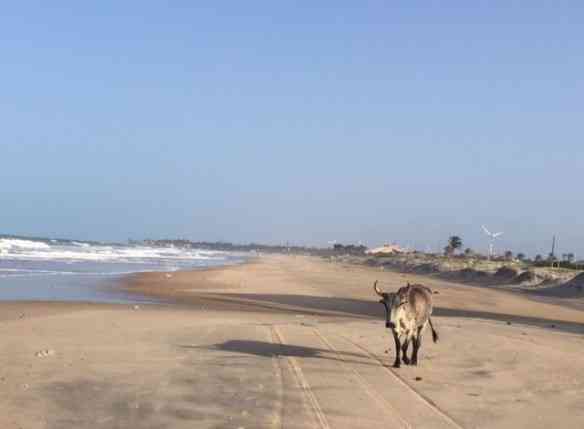 Outro "look" da praia...