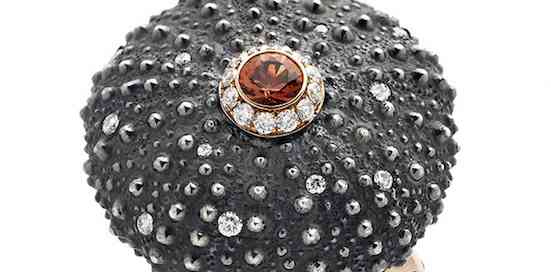 Discover-Grid-Suzanne-Syz5