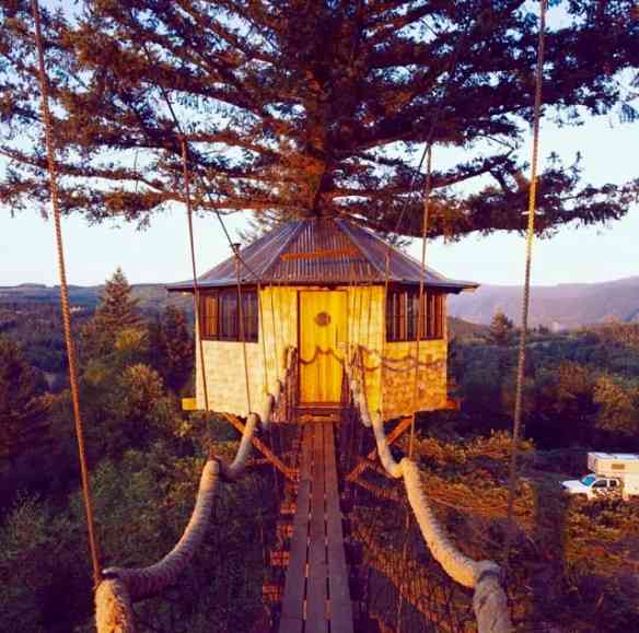 Tarzã está podendo, não acham?!