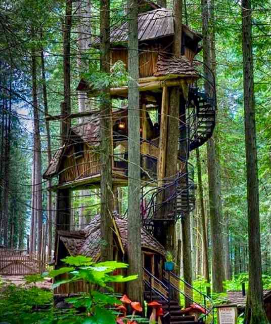 Outra inovação nos domínios da família mais famosa da África: versão triplex...