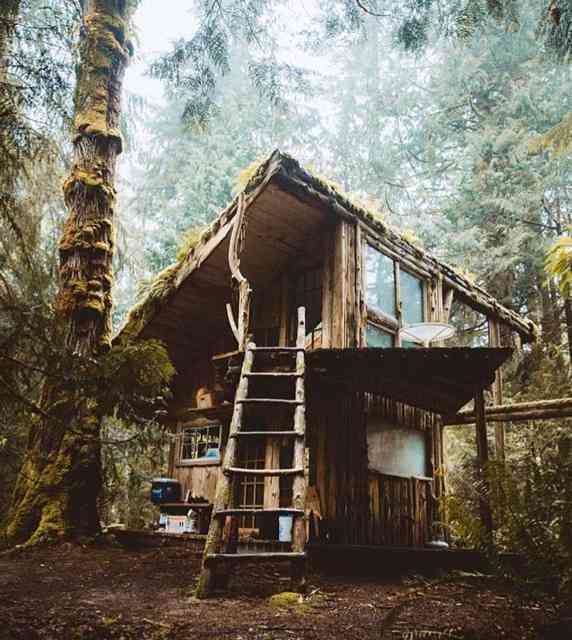 Esta já é para o Tarzã quando se acha Rei das Selvas, em estilo palacete...