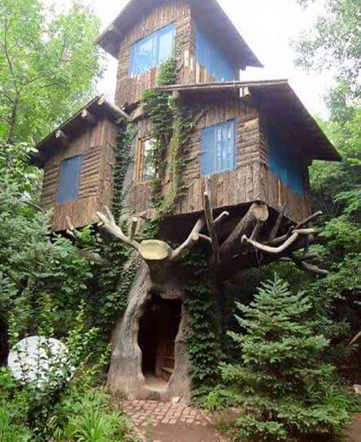 Delícia olhar para estes pequenos reinos encantados por fadas e seres fantásticos!