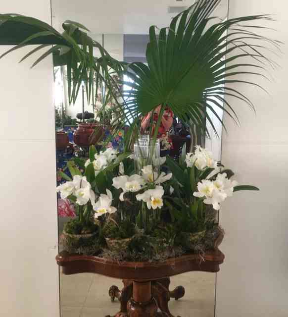 Eram um par de mesas, como esta, repletas de orquídeas lindas que Patrícia cultiva: enchem os olhos e o coração!