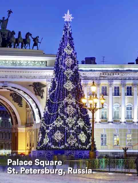 Esta árvore fica na Praça do Palácio Hermitage, na cidade de São Petersburgo, na Rússia