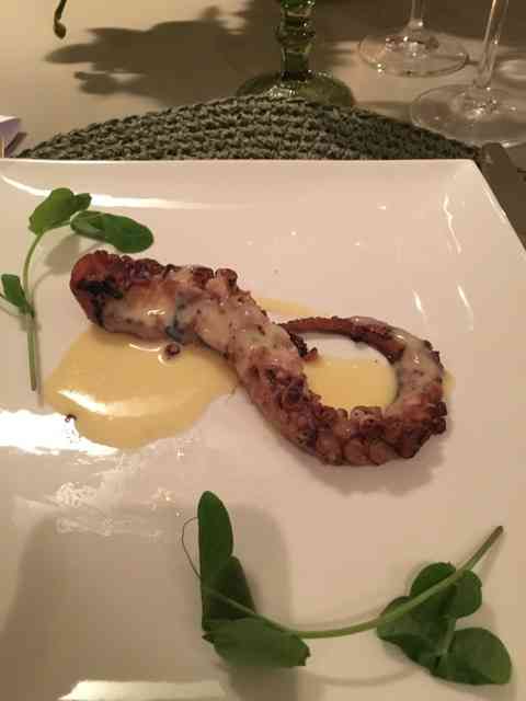 "Polvo com molho de alho confit".